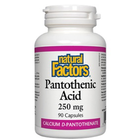 صورة NATURAL FACTORS PANTOTHENIC ACID 250 MG 90 CAPSULES