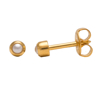 Picture of Studex® Select™ 24ct Gold Plated Pearl Tiffany Regular: PR-R301Y-STX
