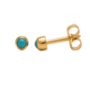 صورة Studex® Select™ 24ct Gold Plated Pearl Turquoise Bezel Regular: PR-R305Y-STX