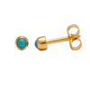 Picture of Studex® Select™ 24ct Gold Plated Pearl Turquoise Bezel Regular: PR-R305Y-STX