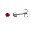 Picture of Studex® Select™ Stainless Steel Crystals Bezel July Ruby Regular: PR-R207W-STX