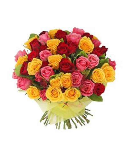 Picture of ORNAMENTAL ELEGANCE