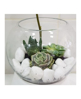 Picture of Terrarium T1